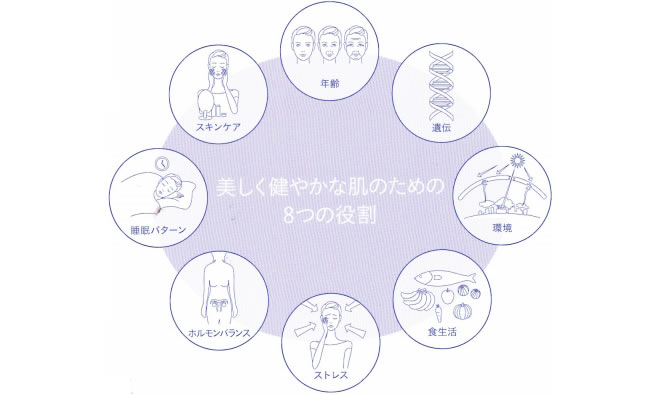 美しく健やかな肌のための8つの役割